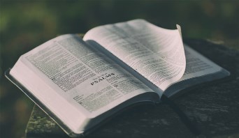 picture of an open Bible