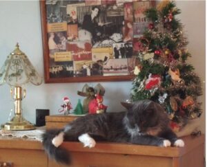 Liza with her first Christmas tree